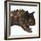 Carnotaurus Dinosaur-Stocktrek Images-Framed Art Print