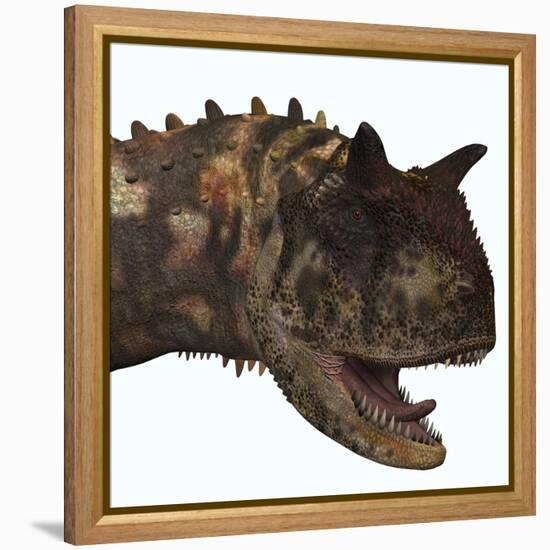 Carnotaurus Dinosaur-Stocktrek Images-Framed Stretched Canvas