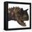 Carnotaurus Dinosaur-Stocktrek Images-Framed Stretched Canvas