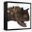 Carnotaurus Dinosaur-Stocktrek Images-Framed Stretched Canvas