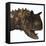 Carnotaurus Dinosaur-Stocktrek Images-Framed Stretched Canvas