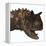 Carnotaurus Dinosaur-Stocktrek Images-Framed Stretched Canvas