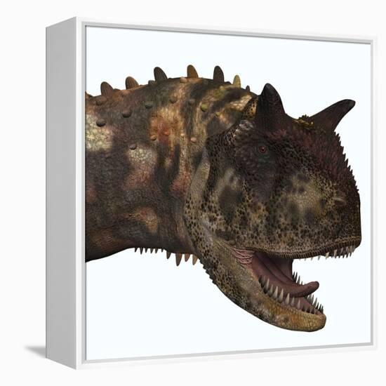 Carnotaurus Dinosaur-Stocktrek Images-Framed Stretched Canvas