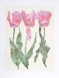 Iris Botanical-Carol Ann Bolt-Framed Limited Edition