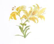 Iris Botanical-Carol Ann Bolt-Limited Edition