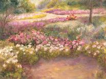 Along the Path-Carol Bailey-Stretched Canvas