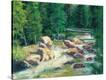 Stretched Canvas Print