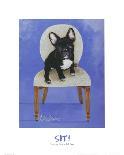 Playful Pup I-Carol Dillon-Framed Art Print