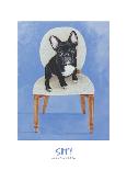 Playful Pup VIII-Carol Dillon-Art Print