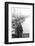 Carol Hall at Seattle's Fisherman's Wharf on a Misty Morning, Puget Sound, Seattle, Washington-Allan Grant-Framed Photographic Print