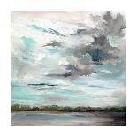 Afternoon Skies-Carol Hallock-Stretched Canvas