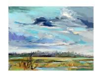Marsh Skies-Carol Hallock-Framed Art Print