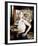 Carol Lynley-null-Framed Photo