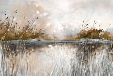 Honebloom Lake Views-Carol Robinson-Art Print