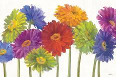 Colorful Gerbera Daisies-Carol Rowan-Framed Art Print