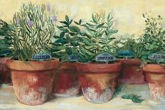 Hydrangeas in Glass Jars White Wood-Carol Rowan-Framed Stretched Canvas