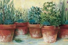 Potted Herbs I-Carol Rowan-Framed Art Print