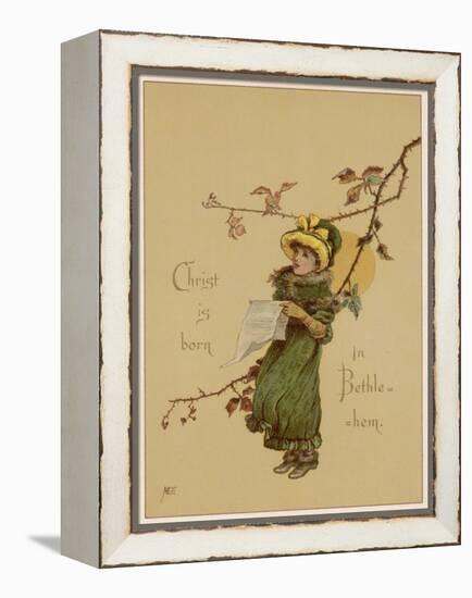 Carol Singer-M Ellen Edwards-Framed Stretched Canvas