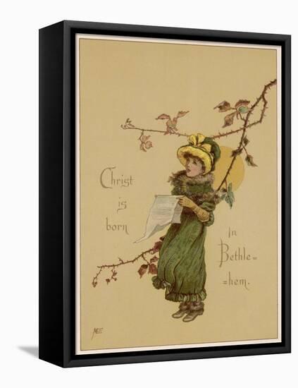 Carol Singer-M Ellen Edwards-Framed Stretched Canvas