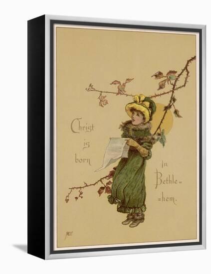 Carol Singer-M Ellen Edwards-Framed Stretched Canvas