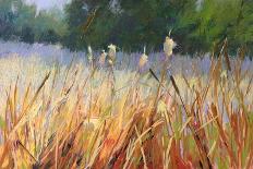 Cattails-Carol Strock Wasson-Art Print