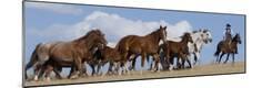 Photographic Print