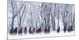 Photographic Print