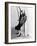 Carole Lombard-null-Framed Photographic Print