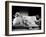 Carole Lombard-null-Framed Photographic Print