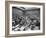 Carole Tregoff and Dr. Bernard Finch During Recess of Murder Trial-Ralph Crane-Framed Photographic Print