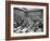 Carole Tregoff and Dr. Bernard Finch During Recess of Murder Trial-Ralph Crane-Framed Photographic Print