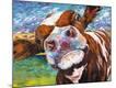 Premium Giclee Print