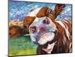 Premium Giclee Print