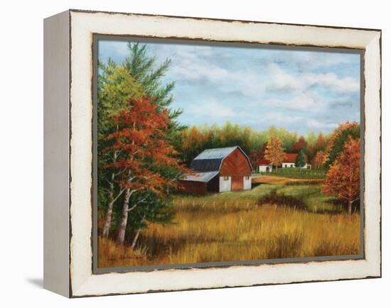 Carolina Country-Lene Alston Casey-Framed Stretched Canvas