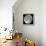 Carolina Moon-Edd Lange-Framed Stretched Canvas displayed on a wall