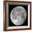 Carolina Moon-Edd Lange-Framed Photographic Print