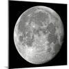Carolina Moon-Edd Lange-Mounted Photographic Print