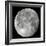 Carolina Moon-Edd Lange-Framed Photographic Print