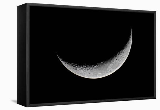Carolina Moon-Edd Lange-Framed Premier Image Canvas