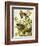 Carolina Turtle Dove-John James Audubon-Framed Art Print