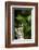 Carolina Wren-Gary Carter-Framed Photographic Print