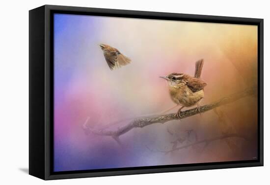 Carolina Wrens-Jai Johnson-Framed Premier Image Canvas