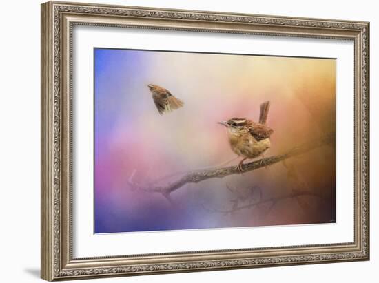 Carolina Wrens-Jai Johnson-Framed Giclee Print