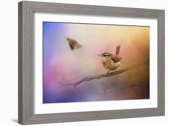 Carolina Wrens-Jai Johnson-Framed Giclee Print