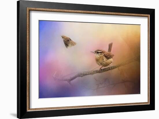 Carolina Wrens-Jai Johnson-Framed Giclee Print