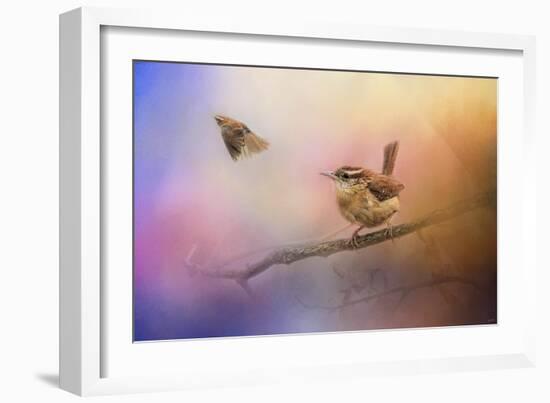 Carolina Wrens-Jai Johnson-Framed Giclee Print