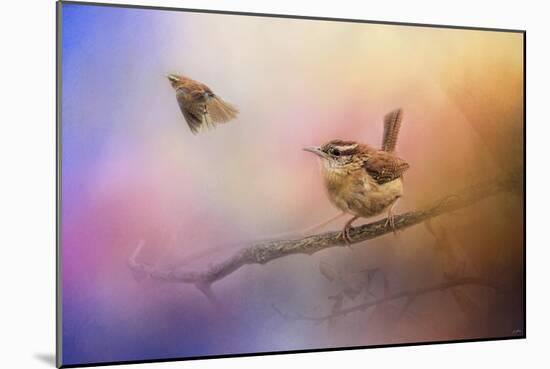 Carolina Wrens-Jai Johnson-Mounted Giclee Print