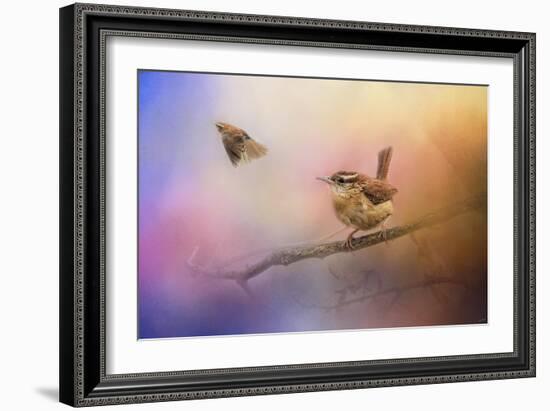 Carolina Wrens-Jai Johnson-Framed Giclee Print