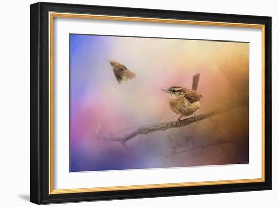 Carolina Wrens-Jai Johnson-Framed Giclee Print