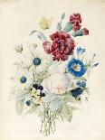 A Spray of Flowers Including a Rose-Caroline Adrien-Mounted Giclee Print